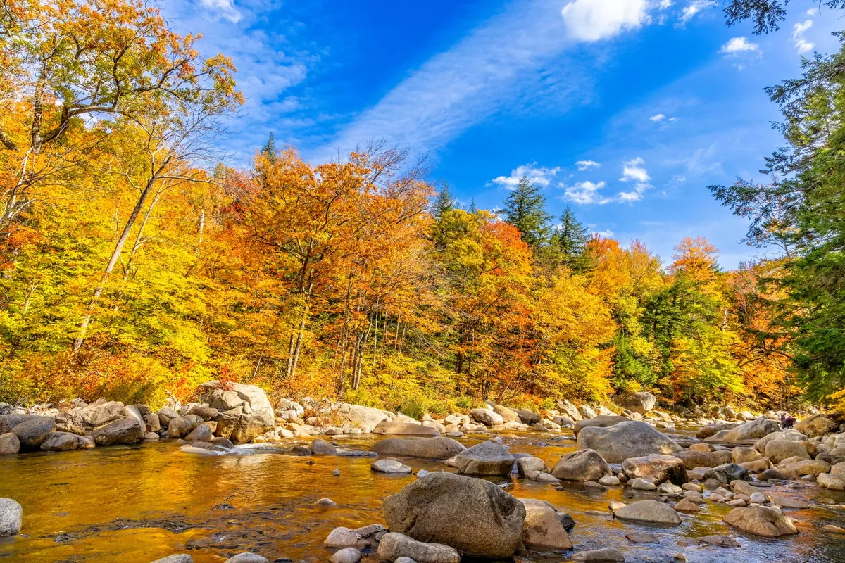 Autumn foliage along a river in Lincoln, New Hampshire, under a blue sky