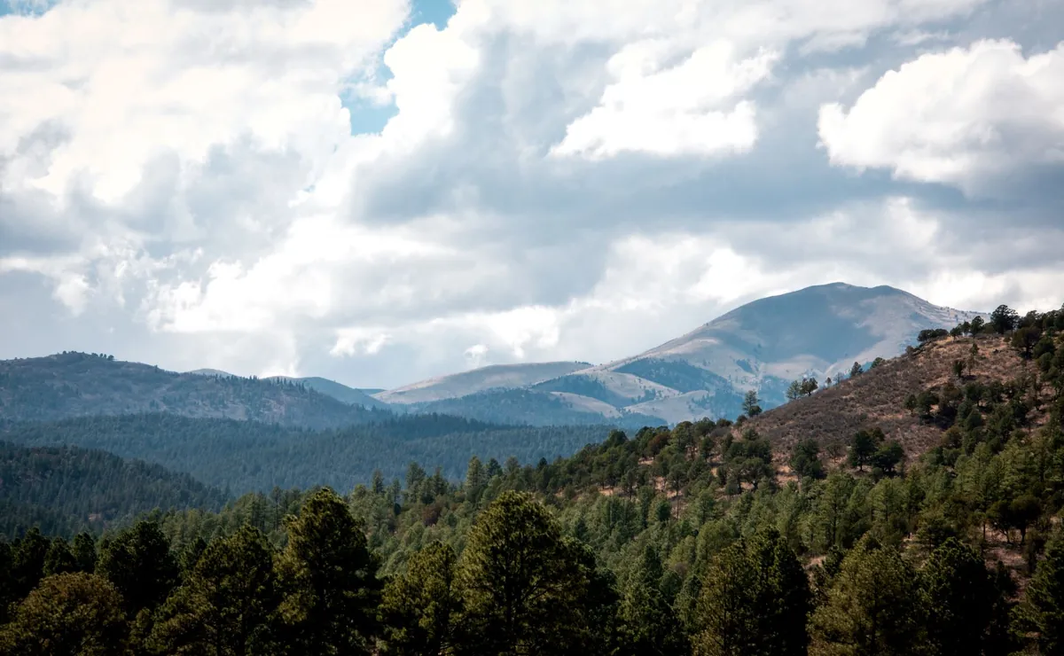 Forested mountain landscape near Ruidoso, New Mexico