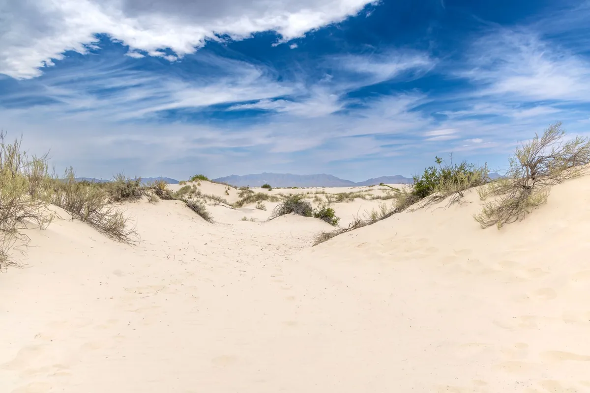 White gypsum dunes under a blue sky at White Sands National Park