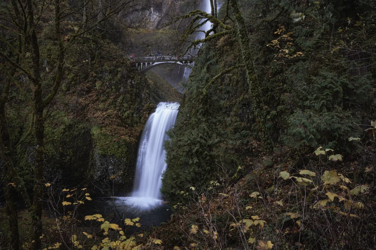 Multnomah Falls cascading through lush greenery in the Columbia River Gorge