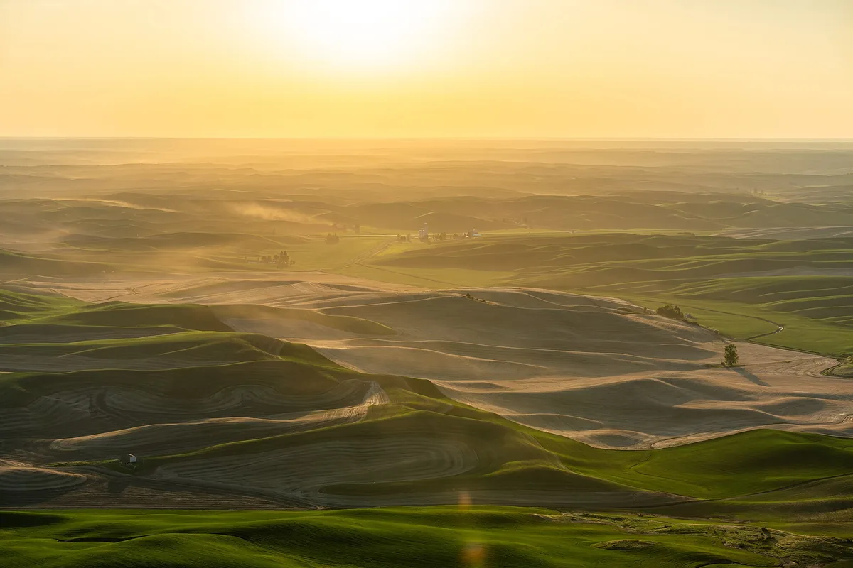 Rolling green and gold wheat fields of the Palouse at sunset, seen from Steptoe Butte